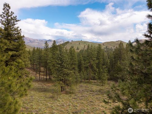 0 LOT 61 Whitebark Lane, Winthrop, WA, 98862 | Card Image