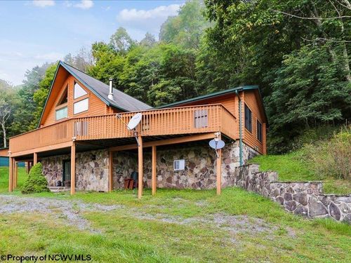 597 E Meadows Road, Harman, WV, 26270 | Card Image