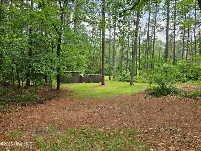 181 Joel Rd, Home with 0 bedrooms, 0 bathrooms and null parking in Carthage NC | Image 33