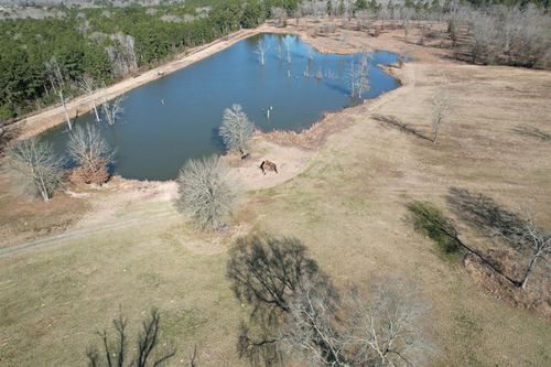 TBD Hwy 87 N, Timpson, TX, 75975 | Card Image