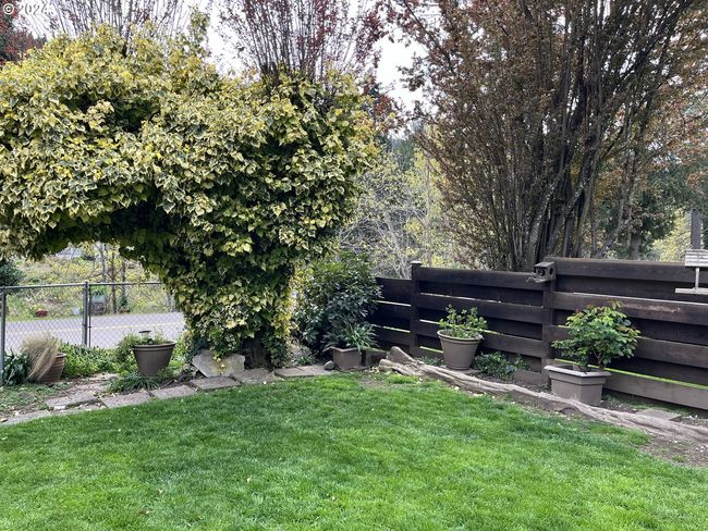 Front Yard | Image 6