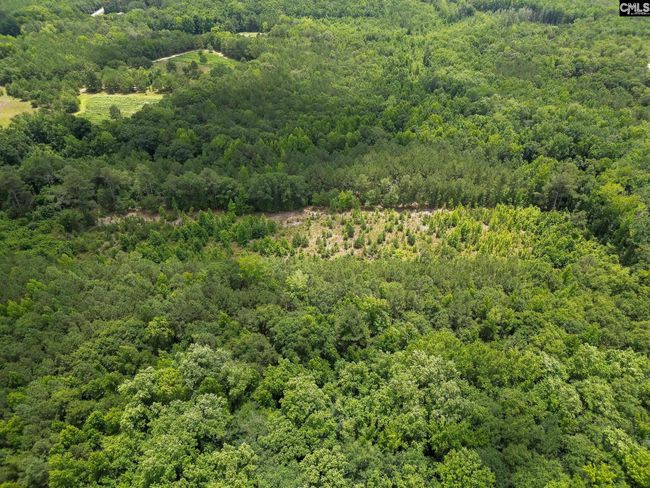 00 Kirkland Rd, Home with 0 bedrooms, 0 bathrooms and null parking in Rembert SC | Image 15