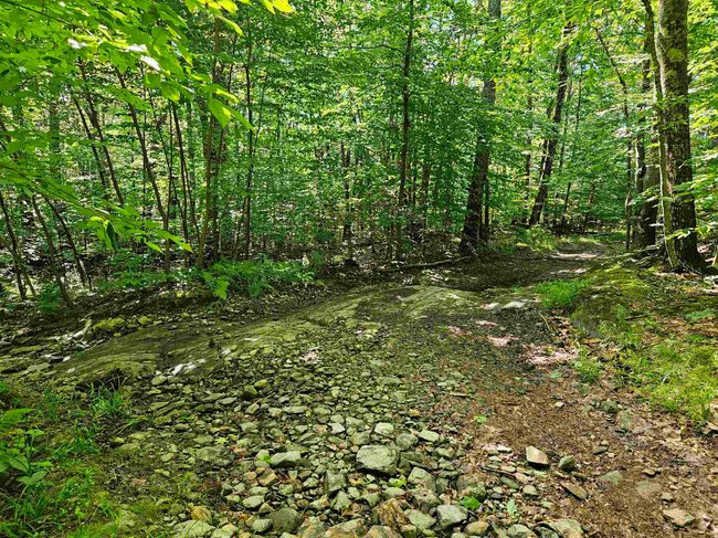 4000-ANDAMP-5000 - 00 Snowshoe Hill Rd, Home with 0 bedrooms, 0 bathrooms and null parking in Canterbury NH | Image 4