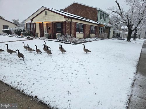 1 Felter Pl, WILLINGBORO, NJ, 08046-2019 | Card Image