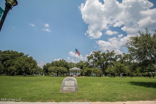 park | Image 8