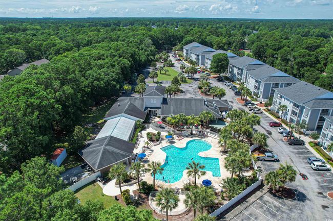Bird's eye view with a forest view | Image 32