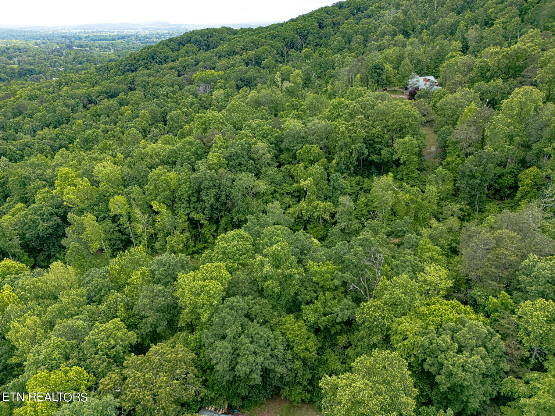 Mckinney Rd, Blaine, TN 37709