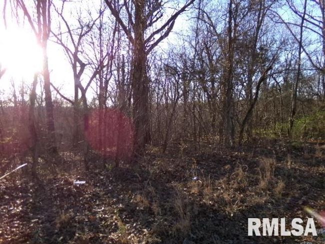 2225 Route 34, House other with 4 bedrooms, 2 bathrooms and null parking in Rosiclare IL | Image 52