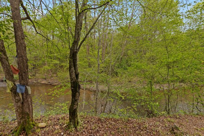 2631 Old Weatherford Creek Rd, Home with 0 bedrooms, 0 bathrooms and null parking in Lutts TN | Image 20