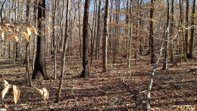 00B Sullivan Rd, Home with 0 bedrooms, 0 bathrooms and null parking in Laurens SC | Image 8