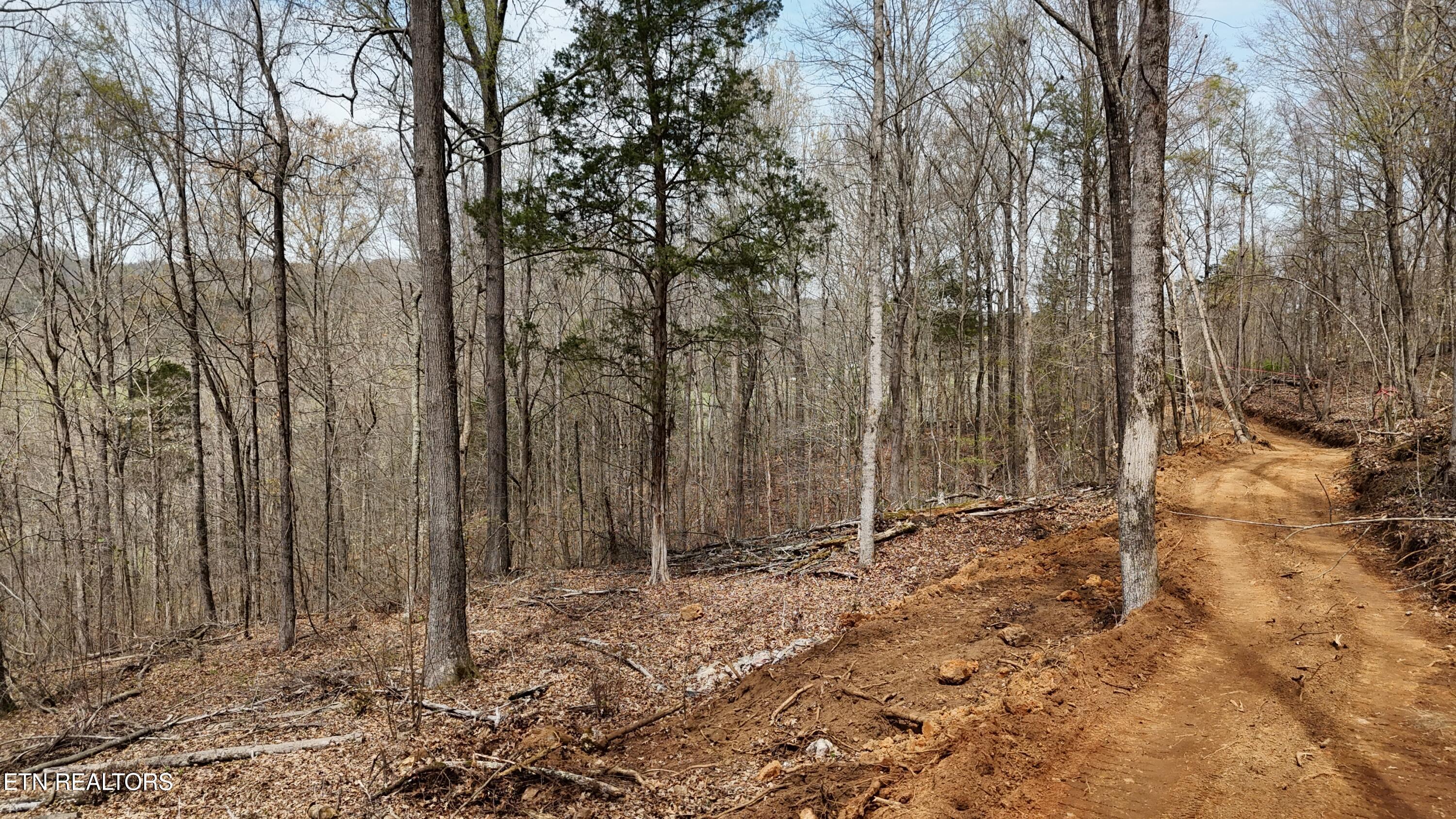Land in Decatur 4
