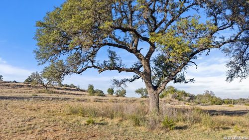 885 Stanton Rd, Johnson City, TX, 78636 | Card Image