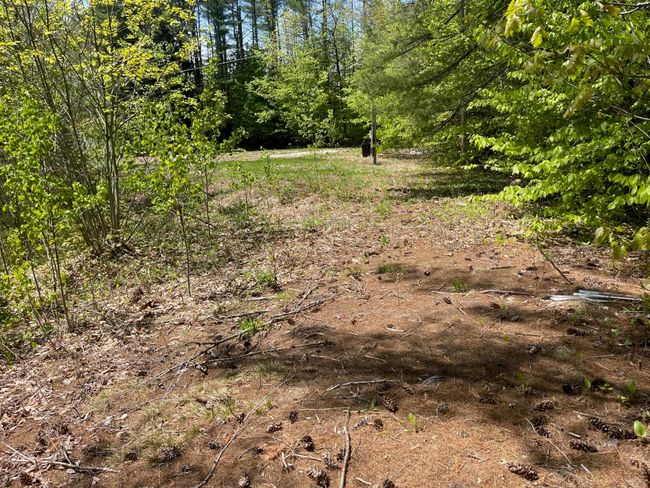 1780 Nh Route 16, Home with 0 bedrooms, 0 bathrooms and null parking in Albany NH | Image 16