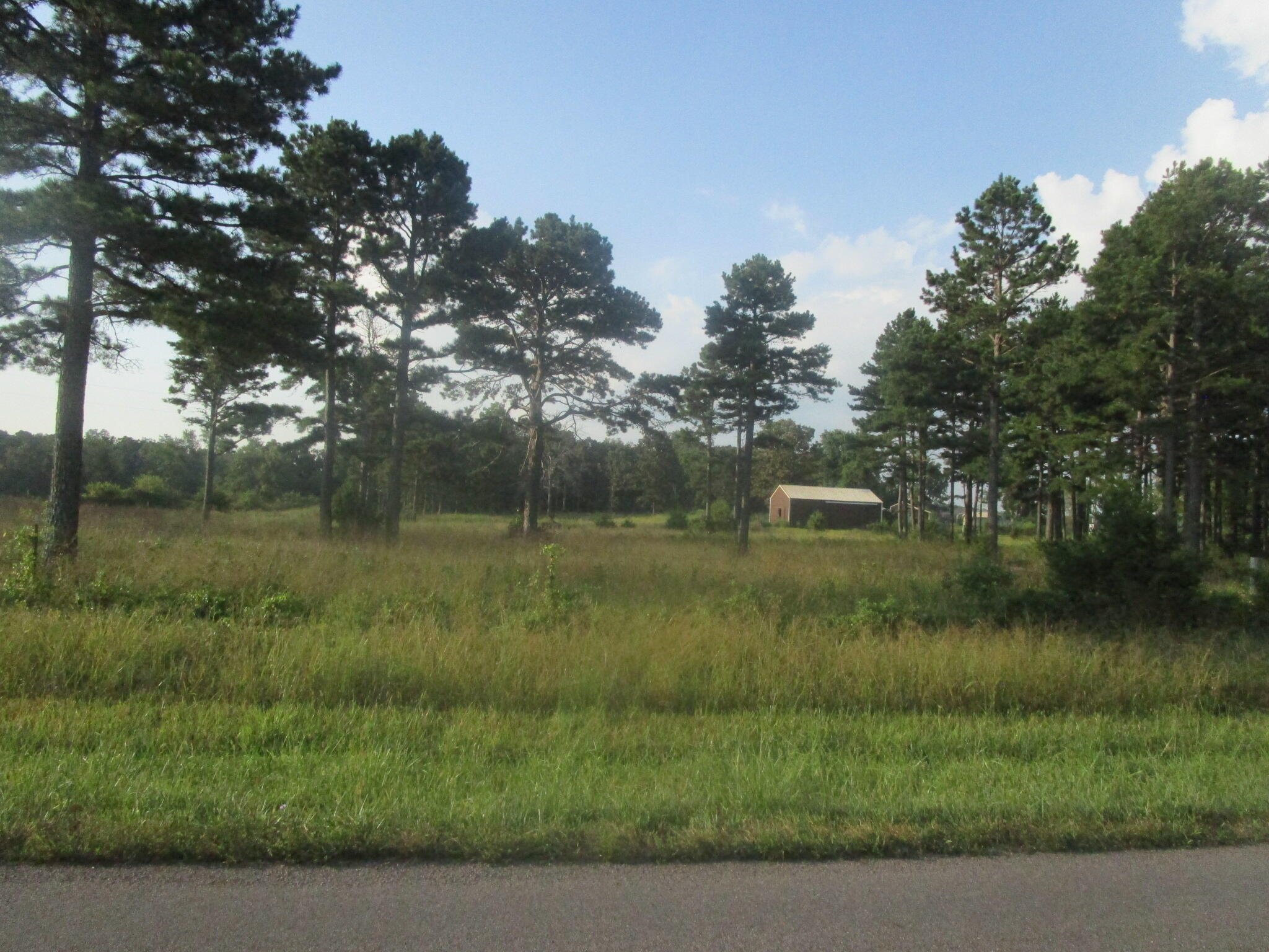 State Route Z , Summersville, MO 65571