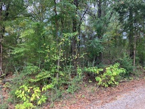 TBD Lot 17 Westwood Drive, Trinidad, TX, 75163 | Card Image