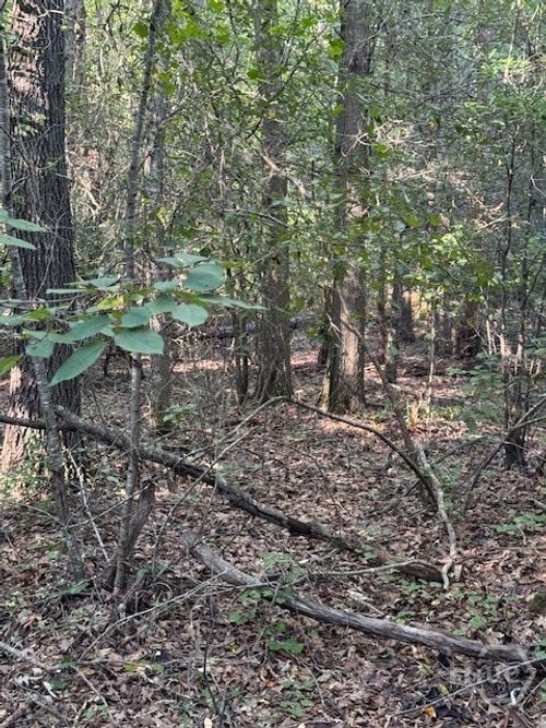 lot-8-0 Rita Ridge, Jefferson, GA, 30549 | Card Image