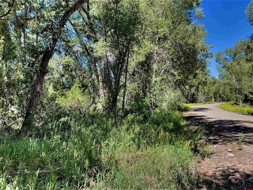 128, 136, 150 Ute Trail, South Fork, CO, 81154 | Card Image
