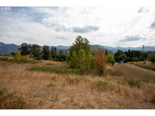 0 E 2 Nd Ave, Home with 0 bedrooms, 0 bathrooms and null parking in Riddle OR | Image 7