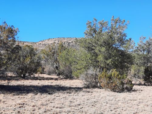 Lot 1496 Lion Canyon Dr, Seligman, AZ, 86337 | Card Image