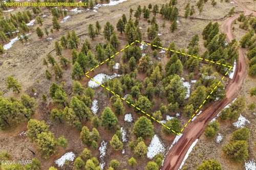 20 County Road N1332, Greer, AZ, 85927 | Card Image
