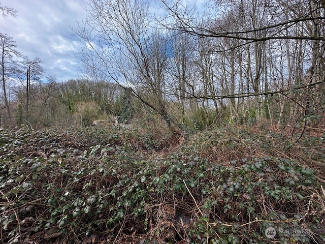 Land in Seattle 3