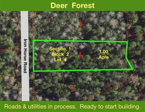 284 Iron Horse Rd, New Waverly, TX, 77358 | Card Image