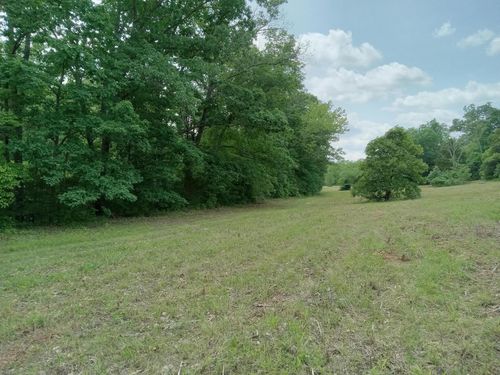 000 Box 110 Rr2, Mansfield, MO, 65704 | Card Image