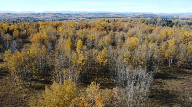 242048 192 St W, Home with 0 bedrooms, 0 bathrooms and null parking in Foothills AB | Image 14