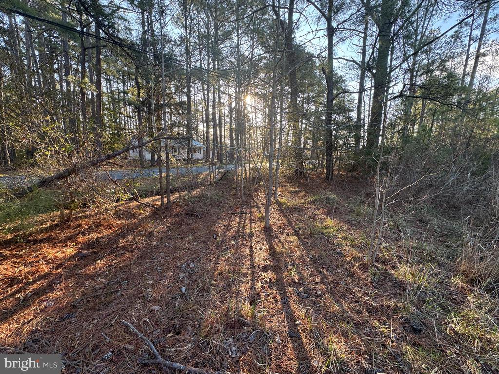 Land in TODDVILLE 5