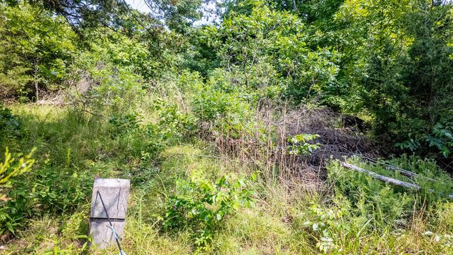Cabin on 13 acres027 | Image 19