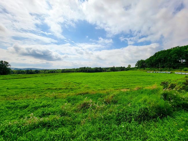 3 - 1545 Middle Road, Home with 0 bedrooms, 0 bathrooms and null parking in Bridport VT | Image 21