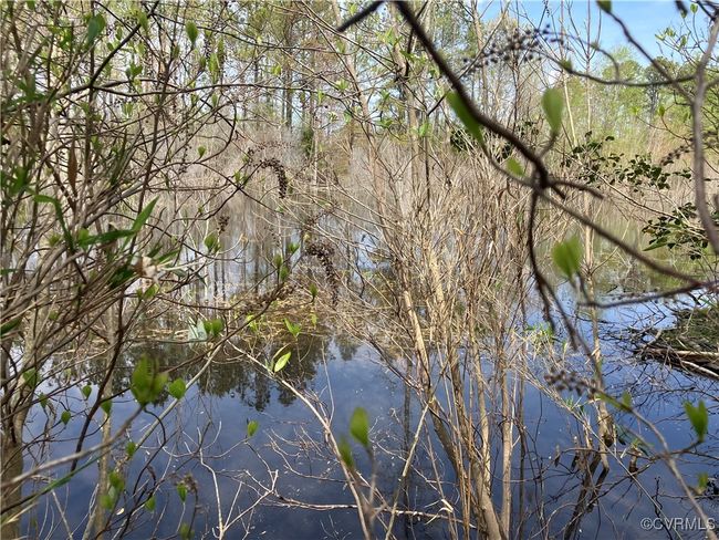 Property view of water | Image 10