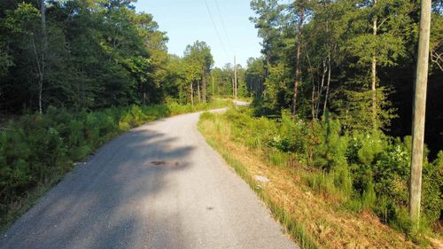 Lot 2 Shoreside Dr, Double Springs, AL, 35553-0047 | Card Image