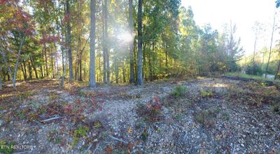 Looking toward the morning SUNRISE across Watts Bar Lake | Image 3