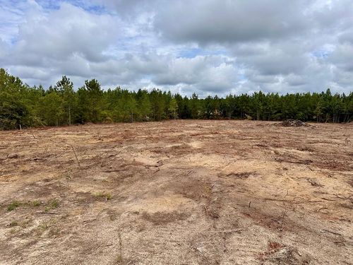LOT A Rock Springs Dr, Dublin, GA, 31021 | Card Image
