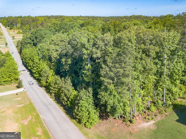 LOT-131 - 0 Hunter Welch Pkwy, Home with 0 bedrooms, 0 bathrooms and null parking in Luthersville GA | Image 5