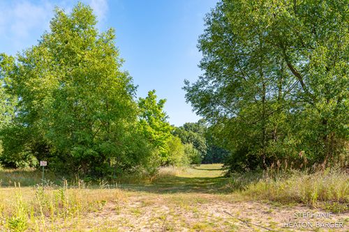10365 E Klees Road, Crystal, MI, 48818 | Card Image