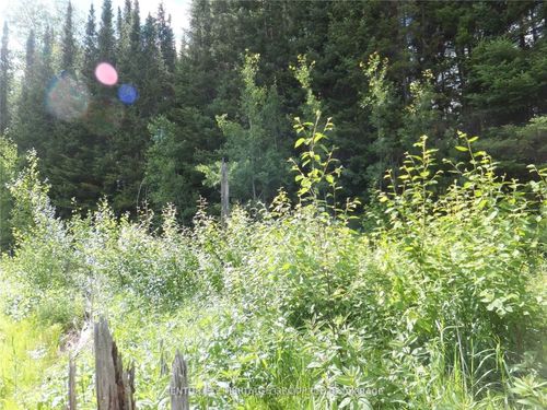 2098 Glamor Lake Road, Highlands East, ON, K0M1R0 | Card Image