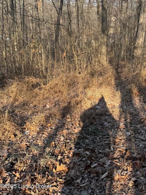 25 Tules Landing Ln, Westview, KY, 40178 | Card Image