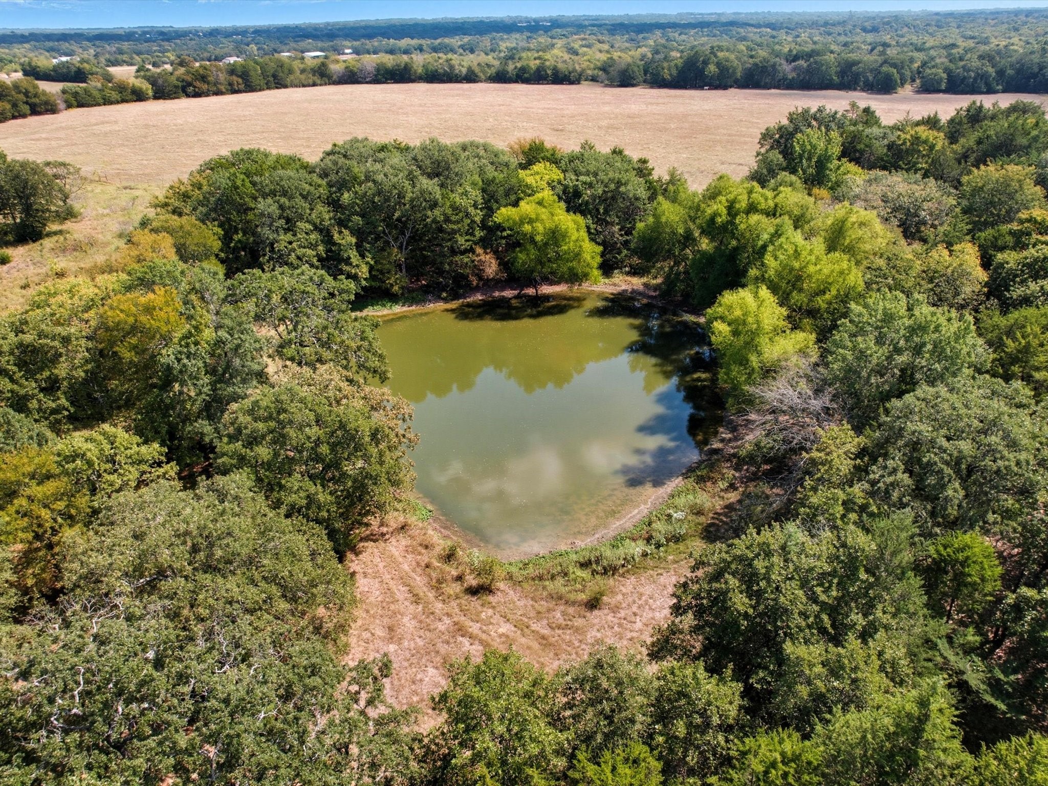 Land in Terrell 4