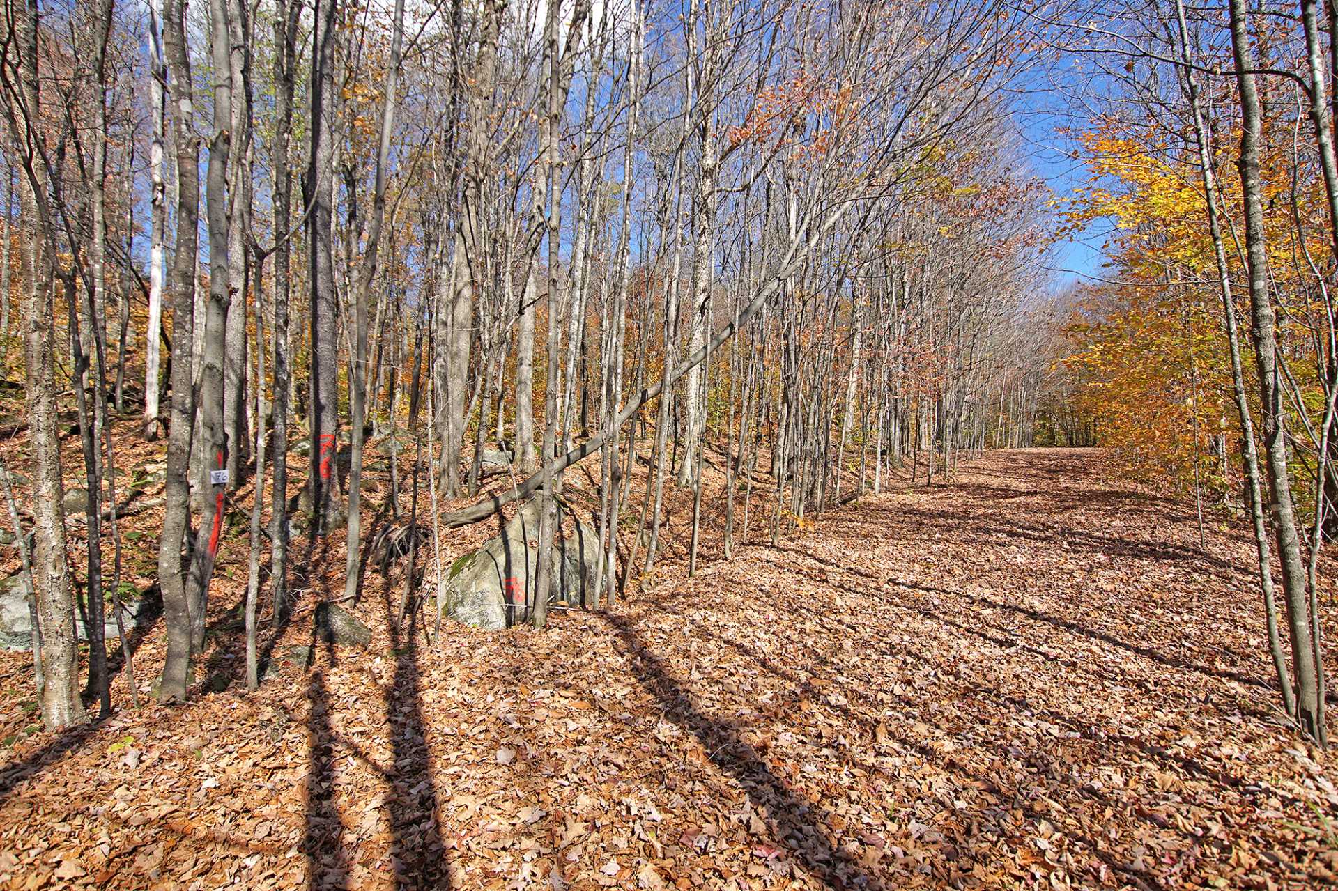 Land in Wentworth 3