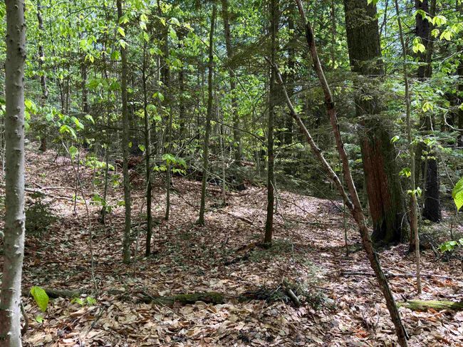 0 Snell Rd, Home with 0 bedrooms, 0 bathrooms and null parking in Chester VT | Image 22