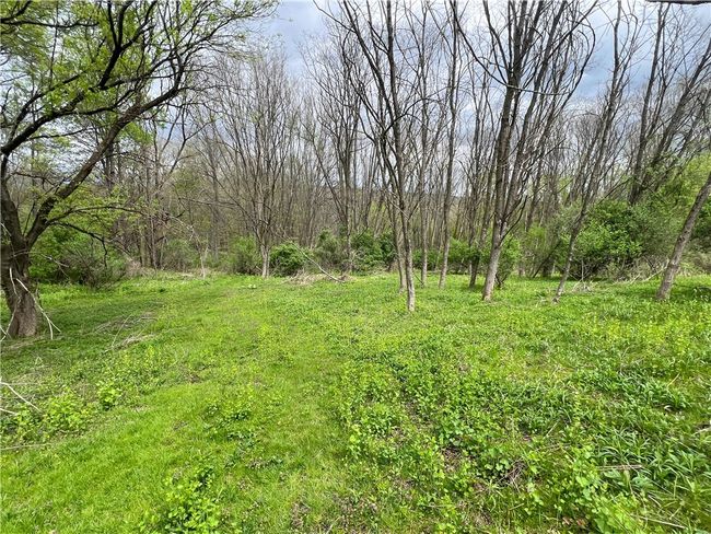 0 Short Rd, Home with 0 bedrooms, 0 bathrooms and null parking in Spencer NY | Image 7