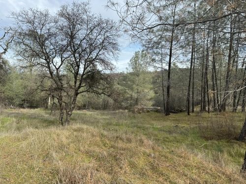 10600 Wild Turkey Ln, Smartsville, CA, 95977-9502 | Card Image
