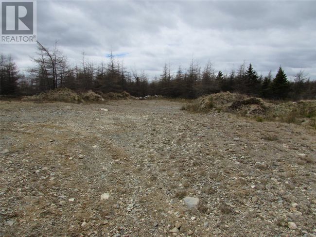 45 New Line Road, Home with 0 bedrooms, 0 bathrooms and null parking in Colliers NL | Image 34