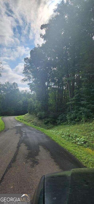 LT175 Trailwood Drive, Home with 0 bedrooms, 0 bathrooms and null parking in Ellijay GA | Image 1