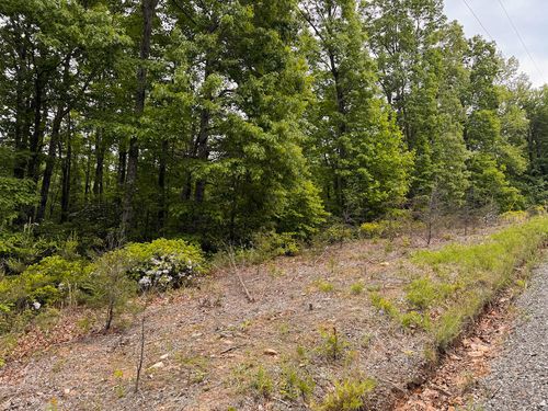 Lot 5 Shortcut Dr, Woolwine, VA, 24185 | Card Image