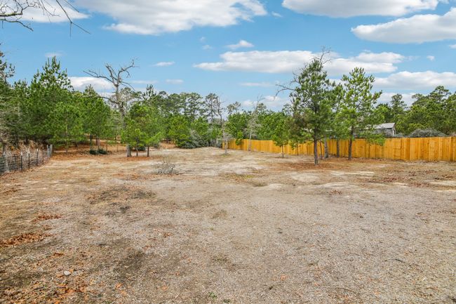 View of yard | Image 38