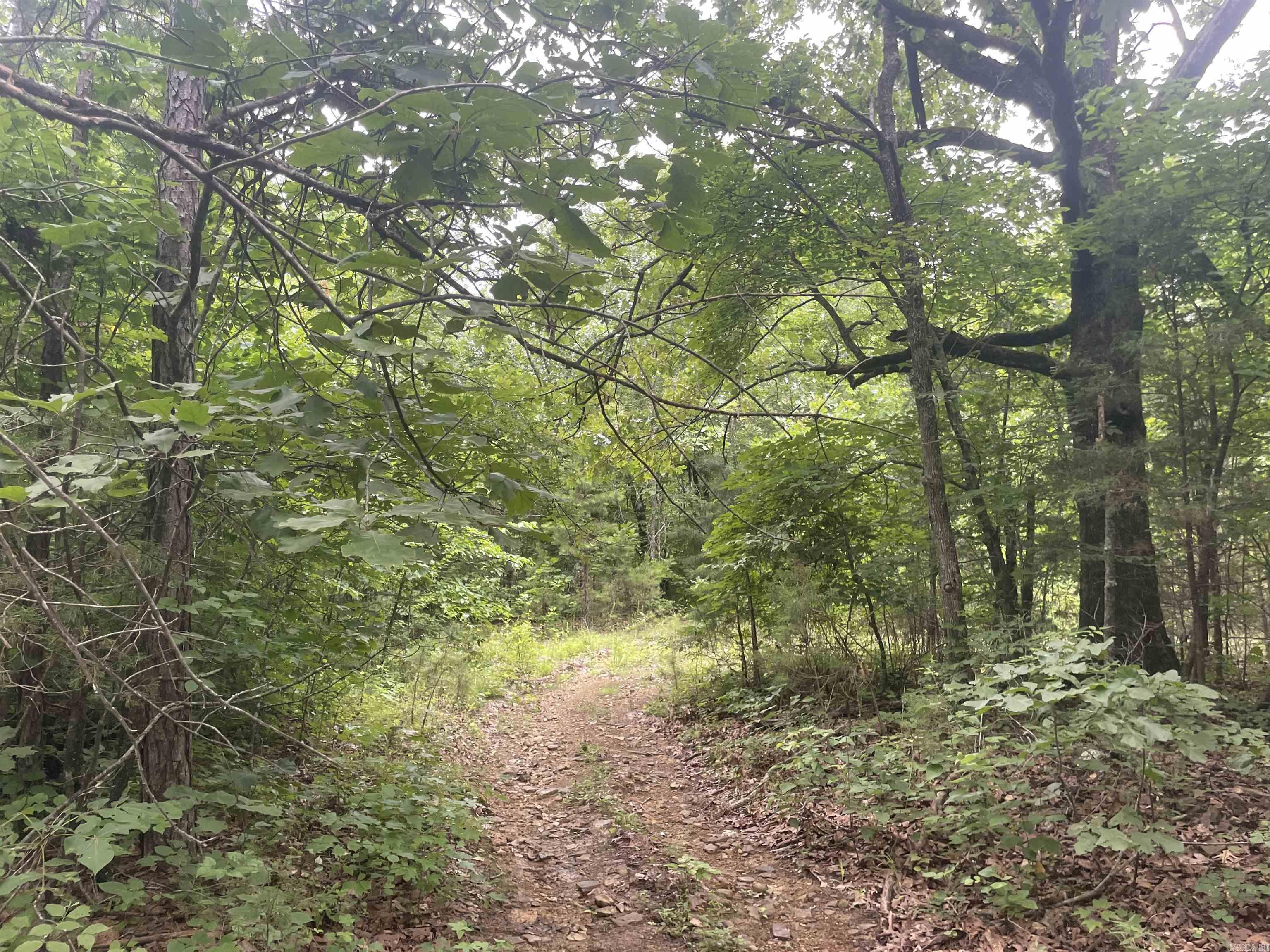 Land in Clinton