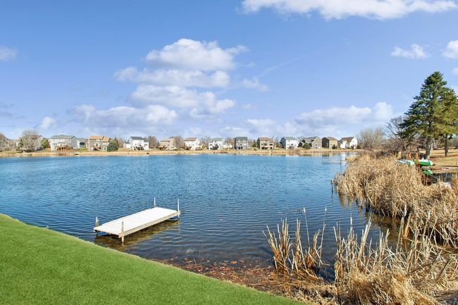 Small dock onto the pond for fishing | Image 39